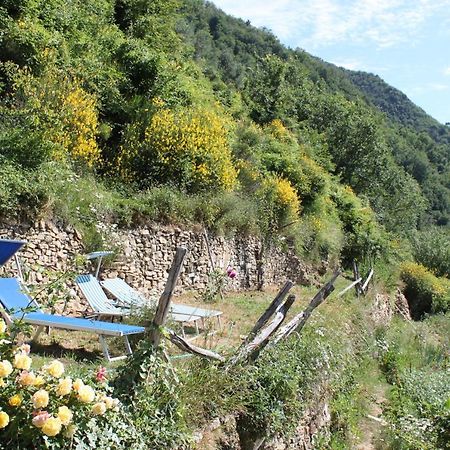 فيلا Rural House Vignai المظهر الخارجي الصورة