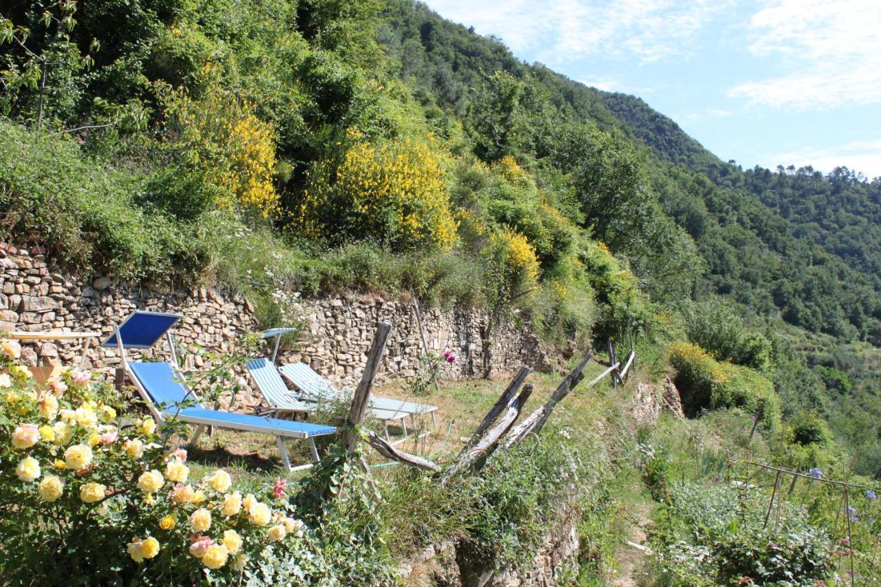 فيلا Rural House Vignai المظهر الخارجي الصورة