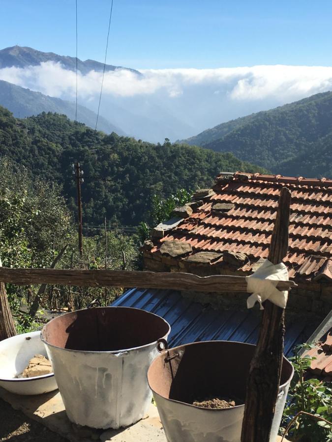 فيلا Rural House Vignai المظهر الخارجي الصورة