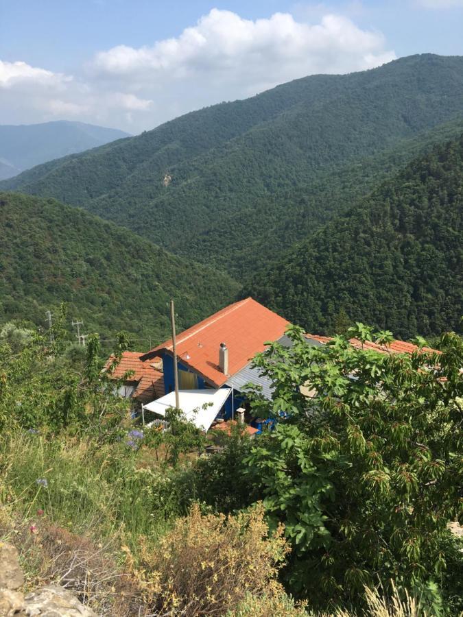 فيلا Rural House Vignai المظهر الخارجي الصورة